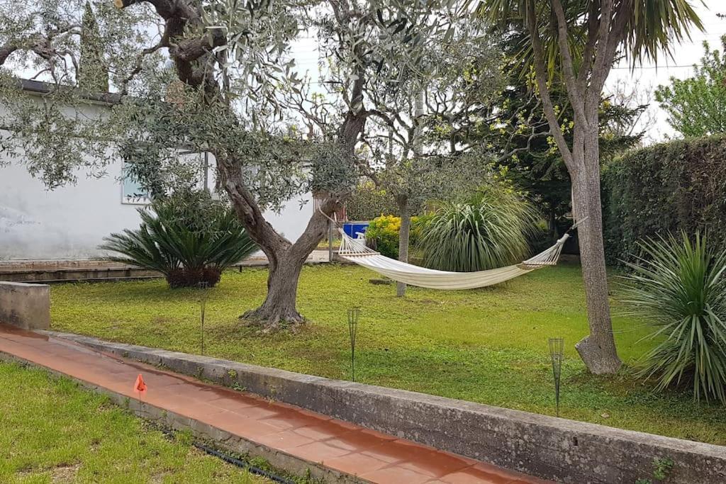 Countryhouse Gli Ulivi モドゥーニョ エクステリア 写真