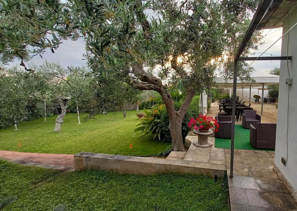 Countryhouse Gli Ulivi モドゥーニョ エクステリア 写真