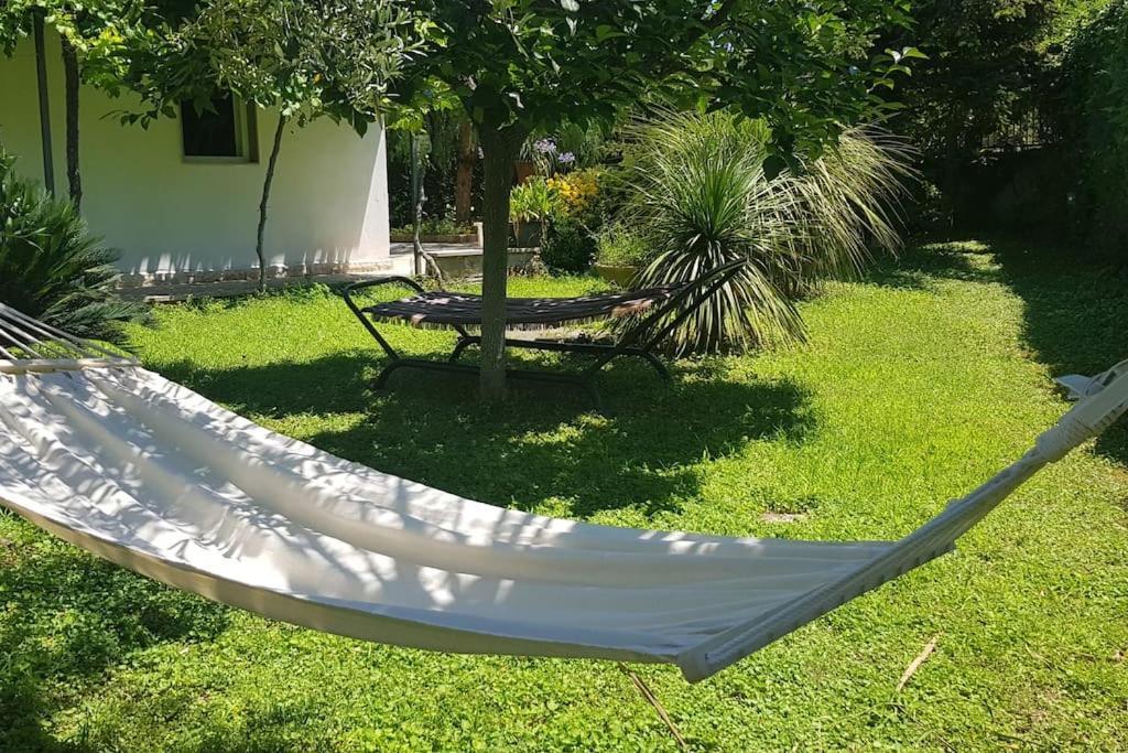 Countryhouse Gli Ulivi モドゥーニョ エクステリア 写真