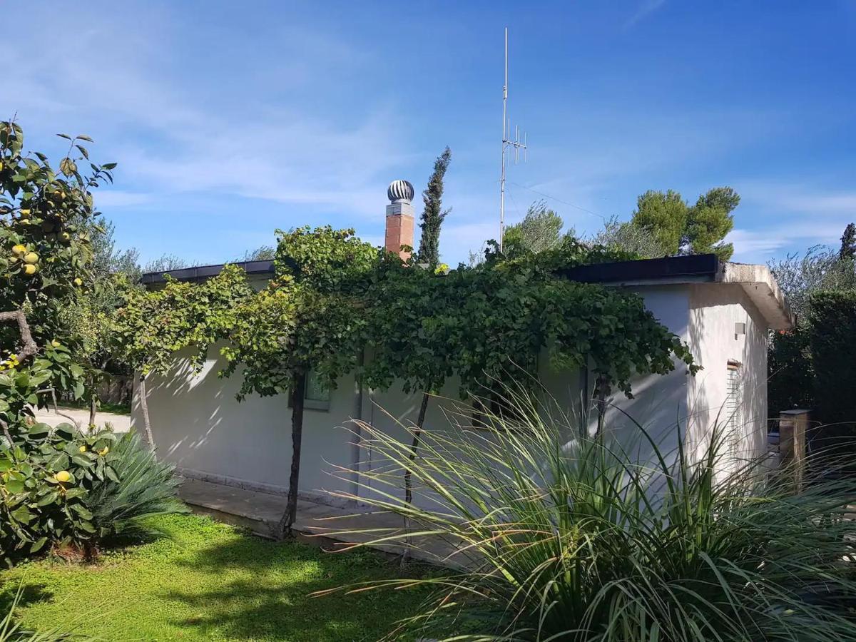Countryhouse Gli Ulivi モドゥーニョ エクステリア 写真