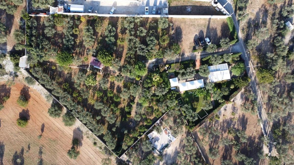 Countryhouse Gli Ulivi モドゥーニョ エクステリア 写真