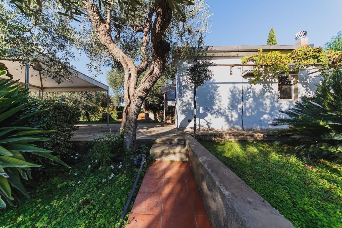 Countryhouse Gli Ulivi モドゥーニョ エクステリア 写真